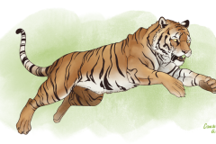 Leaping Tiger